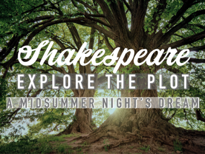 The Plot of A Midsummer Night’s Dream in 8 chuncks